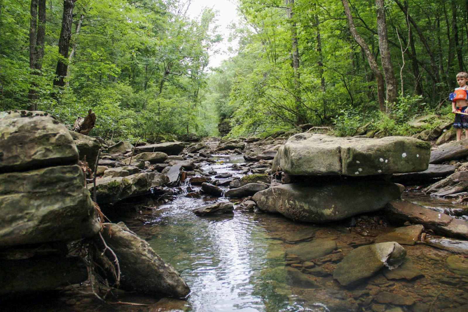 Red Fern - Witter, Arkansas - glamping.directory