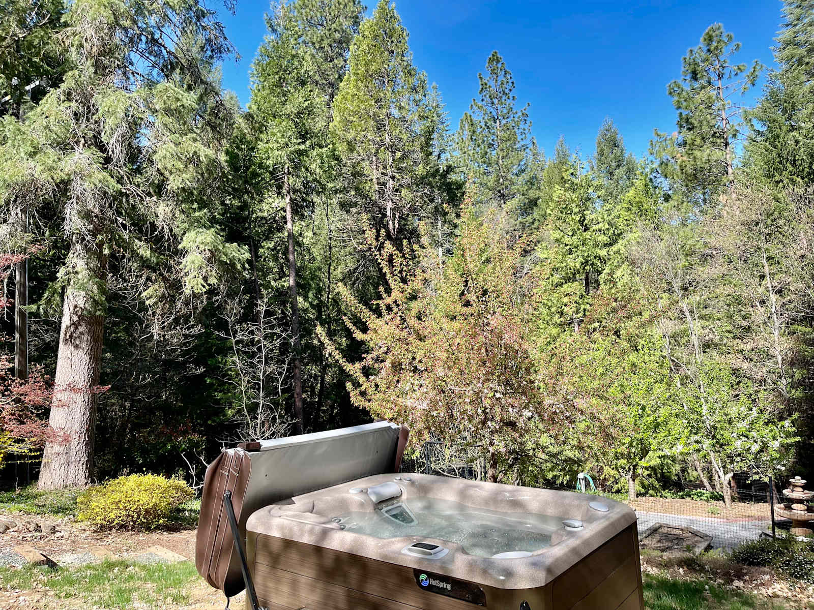 Creek-Front Cabin, 8 Acres +Hot Tub - Nevada City, California - glamping.directory