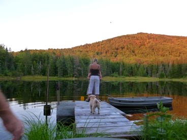 Beautiful Secluded Tiny House for a Quiet Peaceful Getaway Surrounded by Nature in Cabot, Vermont - Cabot, Vermont - glamping.directory
