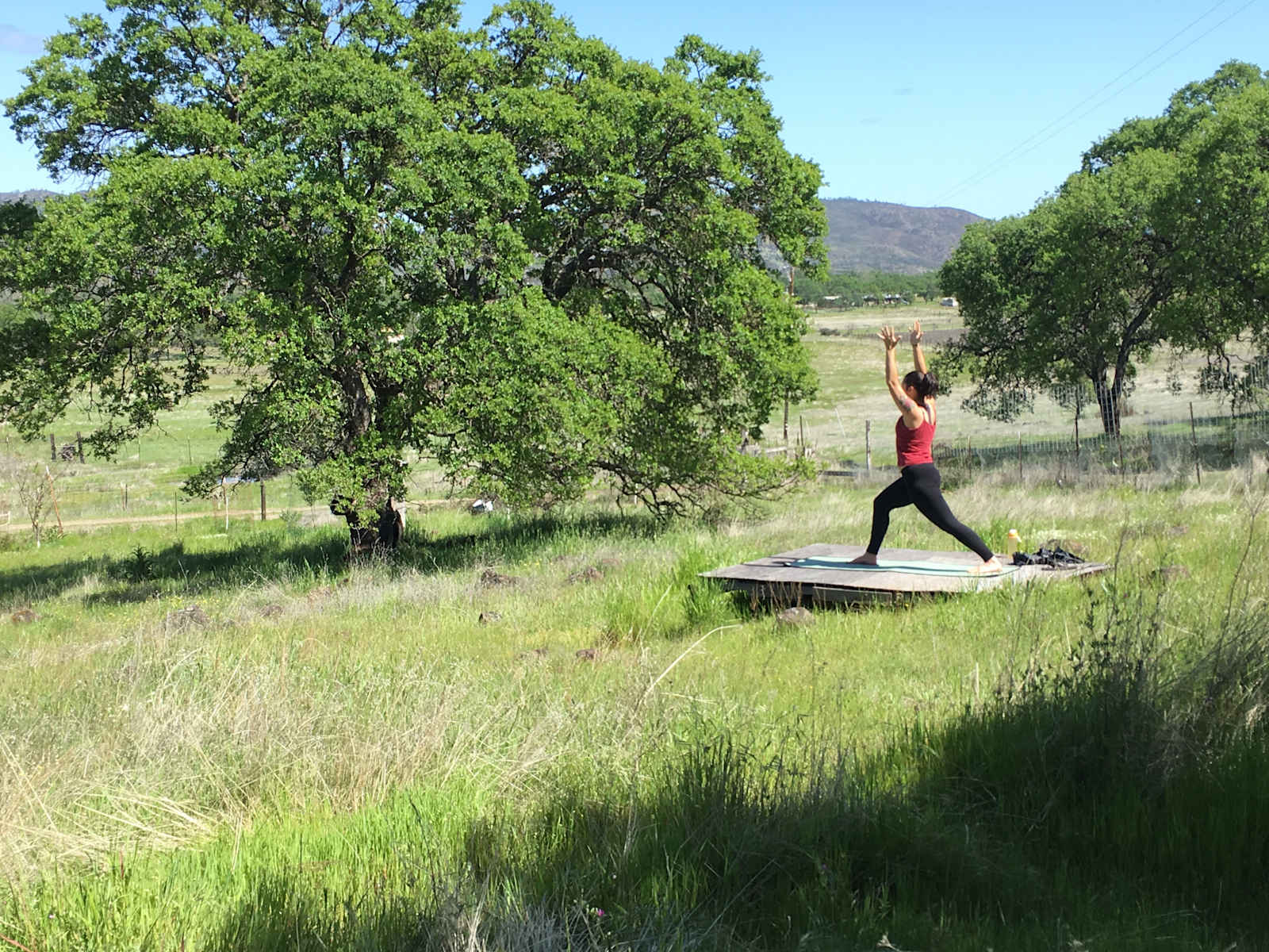 Golden Rocks Permaculture Farm - Middletown, California - glamping.directory