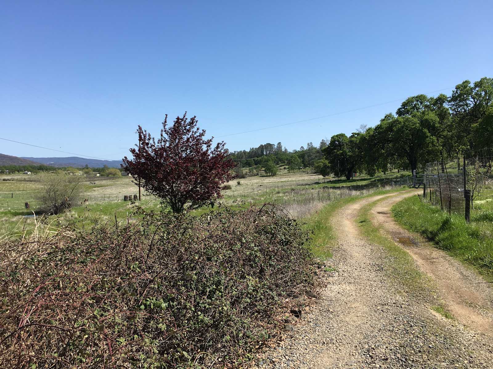 Golden Rocks Permaculture Farm - Middletown, California - glamping.directory