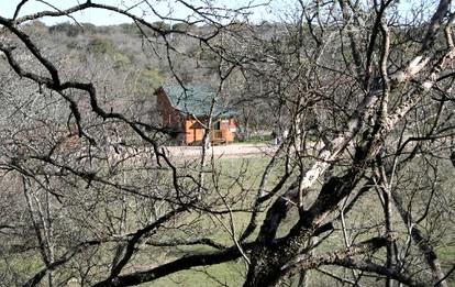 Charming Cabin Stay for Six Nestled Amid Central Texas' Wildlife in Buda - glamping.directory