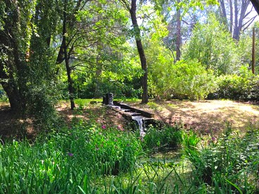 Cozy Cottage Retreat near Harbin Hot Springs in California - Middletown, California - glamping.directory