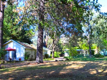 Cozy Cottage Retreat near Harbin Hot Springs in California - Middletown, California - glamping.directory
