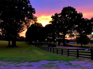 Rustic Tennessee Bed & Breakfast – Country Barn Breakfast & Private Bath Near Wildlife Preserves - glamping.directory
