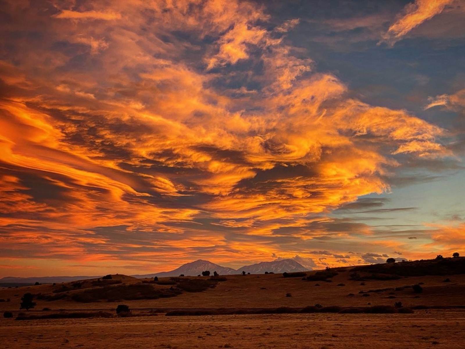 Hummingbird Ranch - Rye, Colorado - glamping.directory
