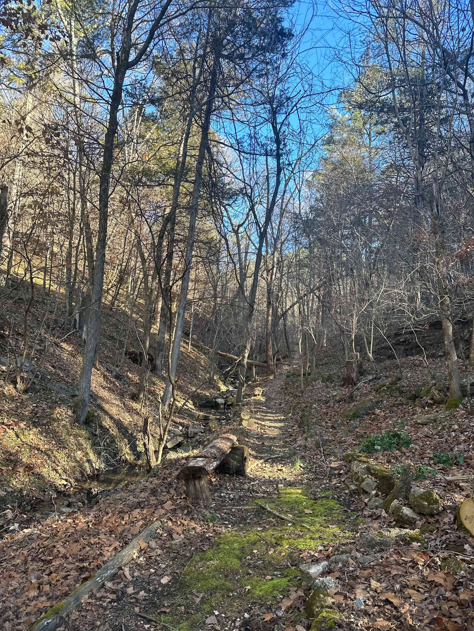 Fire Om Earth Camp - Eureka Springs, Arkansas - glamping.directory