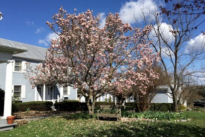 Intimate Room in a Deluxe French Lodge with a Gourmet Restaurant in the Mountains of White Post, Virginia - White Post, Virginia - glamping.directory