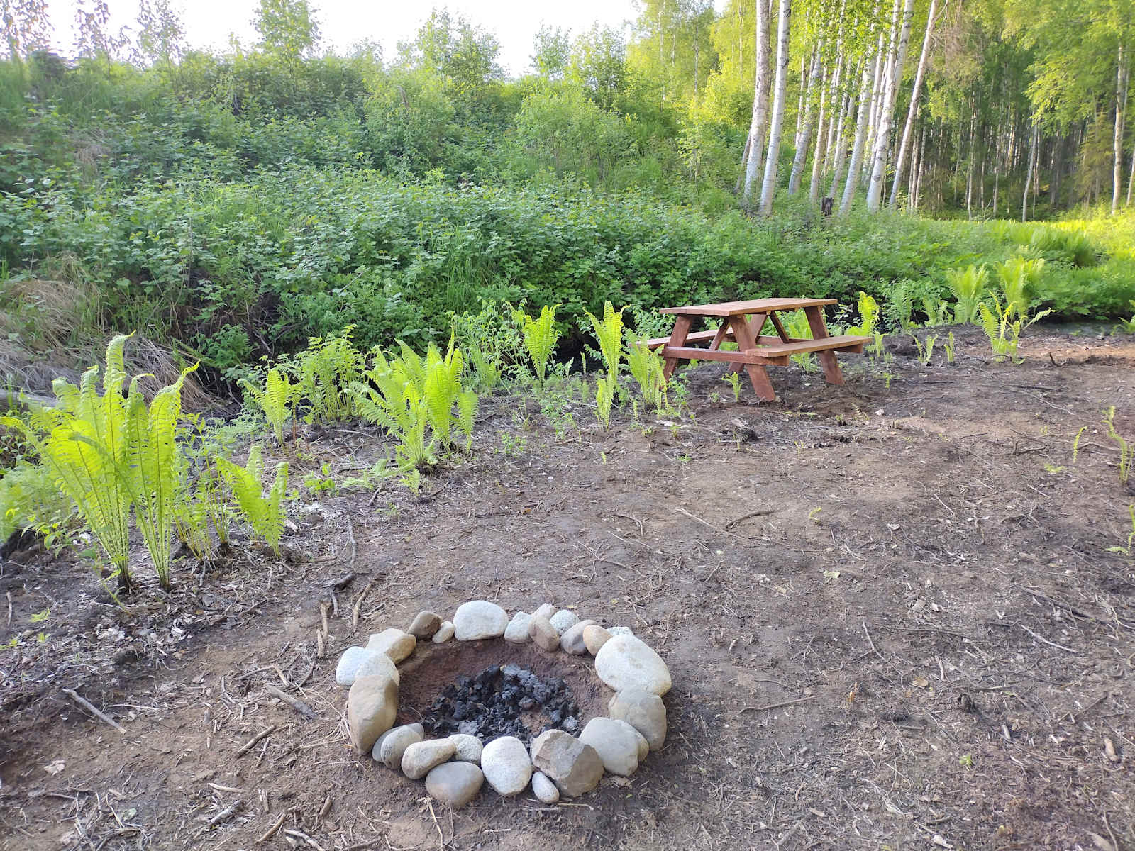 Creekside Campground - Willow, Alaska - glamping.directory