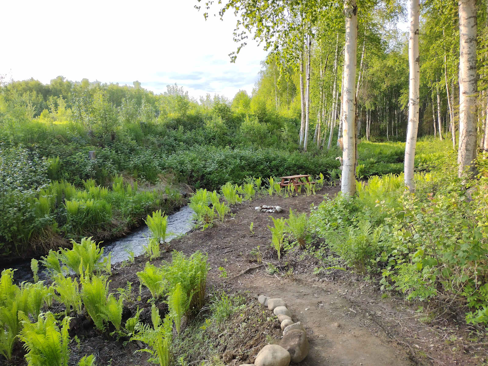 Creekside Campground - Willow, Alaska - glamping.directory