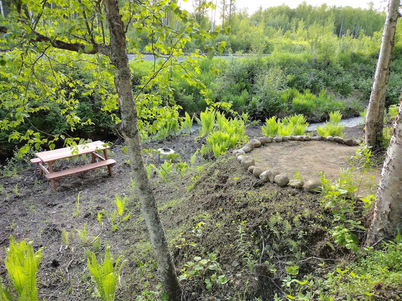 Creekside Campground - Willow, Alaska - glamping.directory
