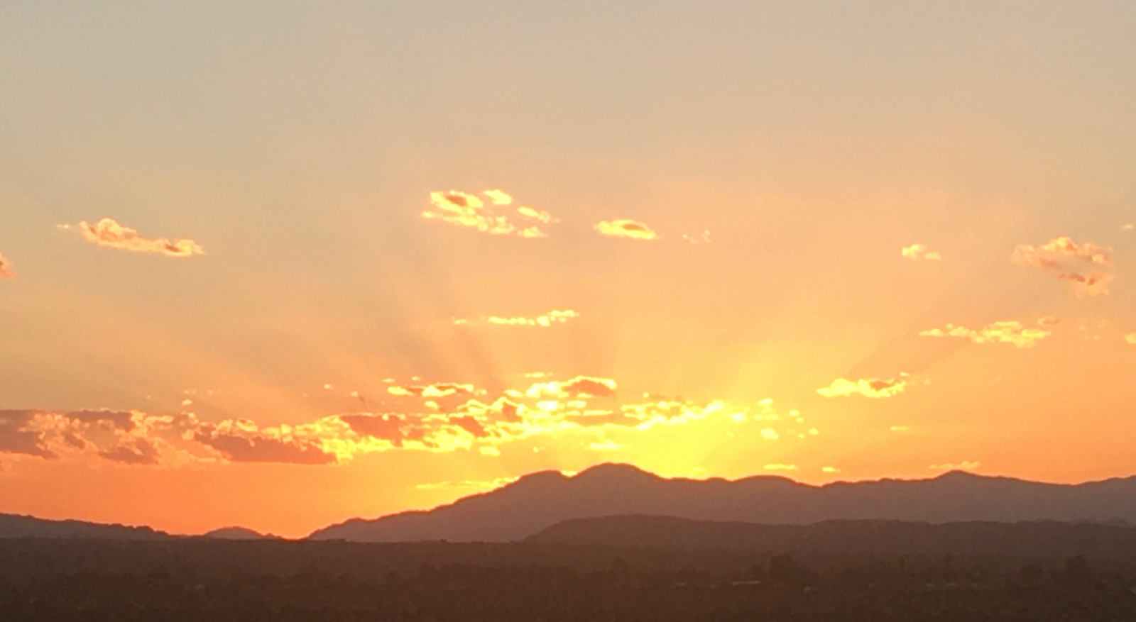 40 Acres Of Open Desert Oasis - Twentynine Palms, California - glamping.directory