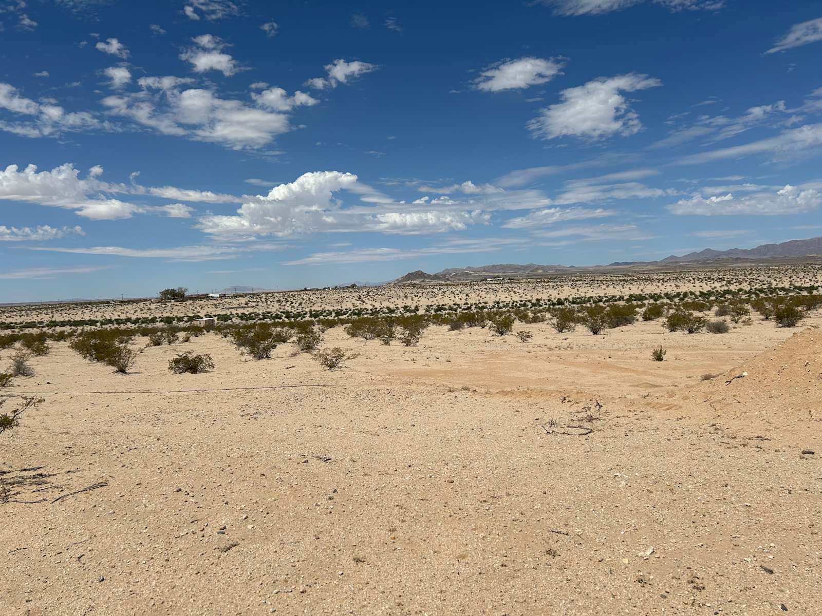 40 Acres Of Open Desert Oasis - Twentynine Palms, California - glamping.directory