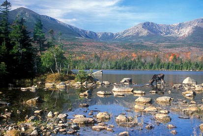 Homey Cabin Rentals Nestled in Nature along Kennebec River, Maine - Bingham, Maine - glamping.directory