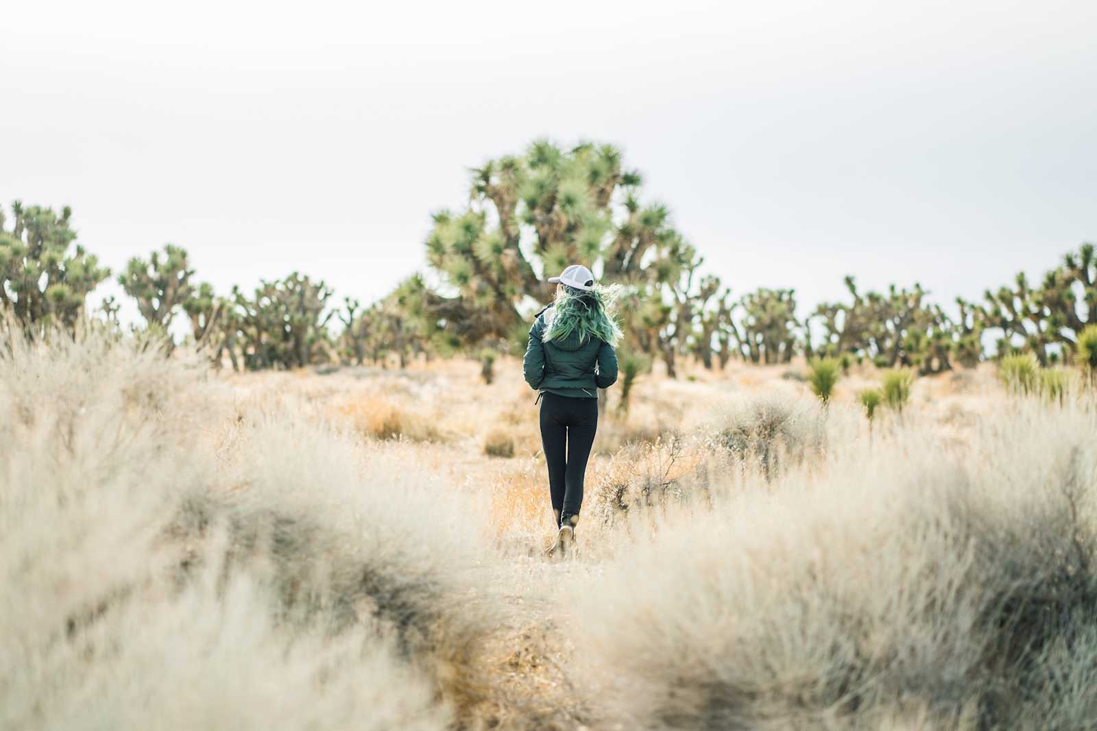 Joshua Tree Ranch Los Angeles - Lake Hughes, California - glamping.directory