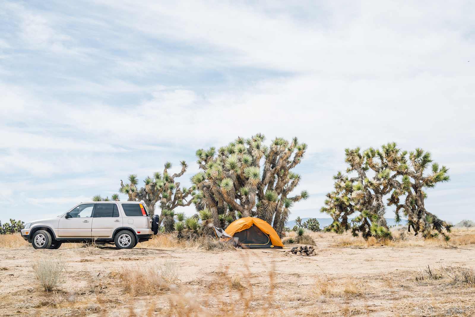Joshua Tree Ranch Los Angeles - glamping.directory