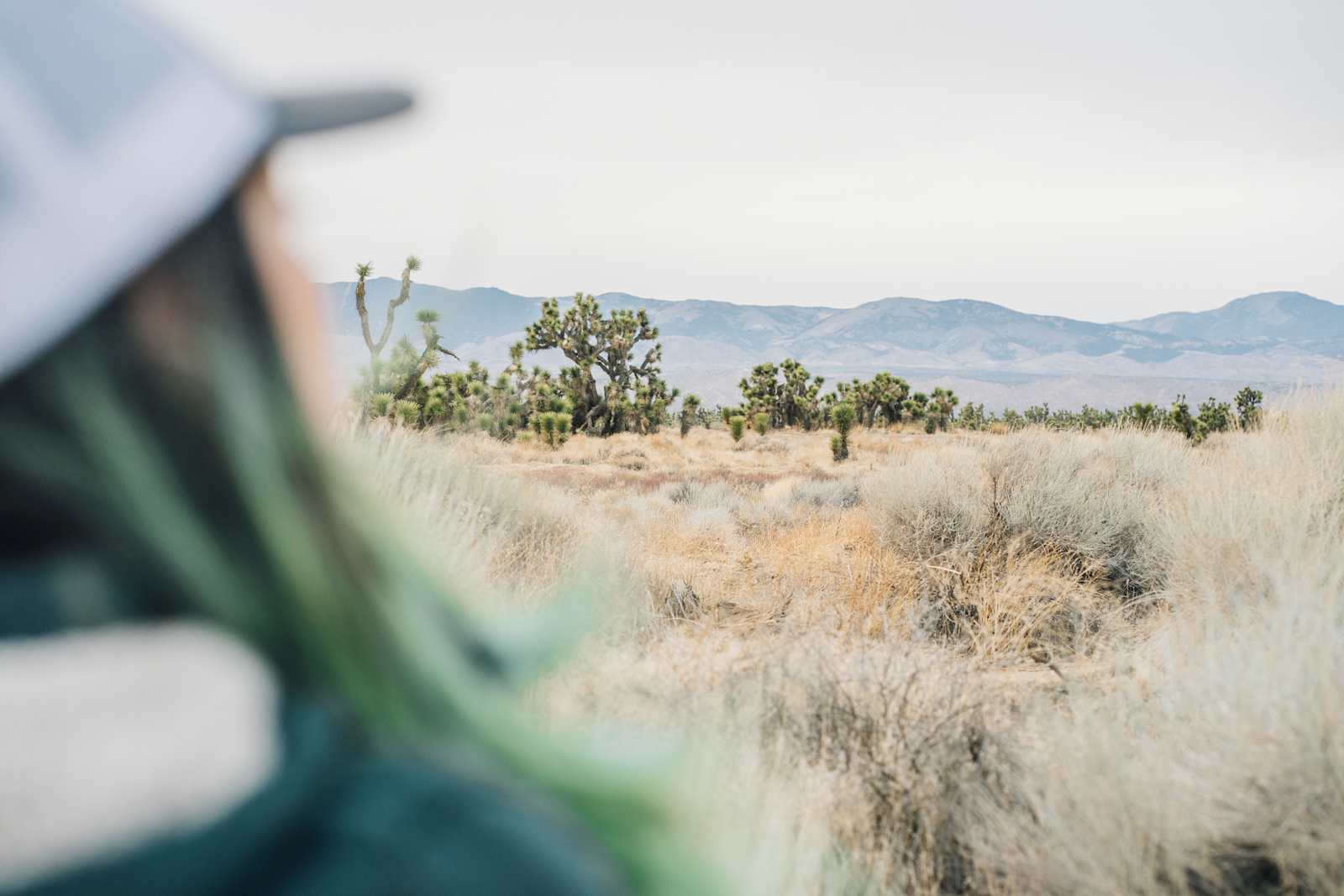 Joshua Tree Ranch Los Angeles - Lake Hughes, California - glamping.directory