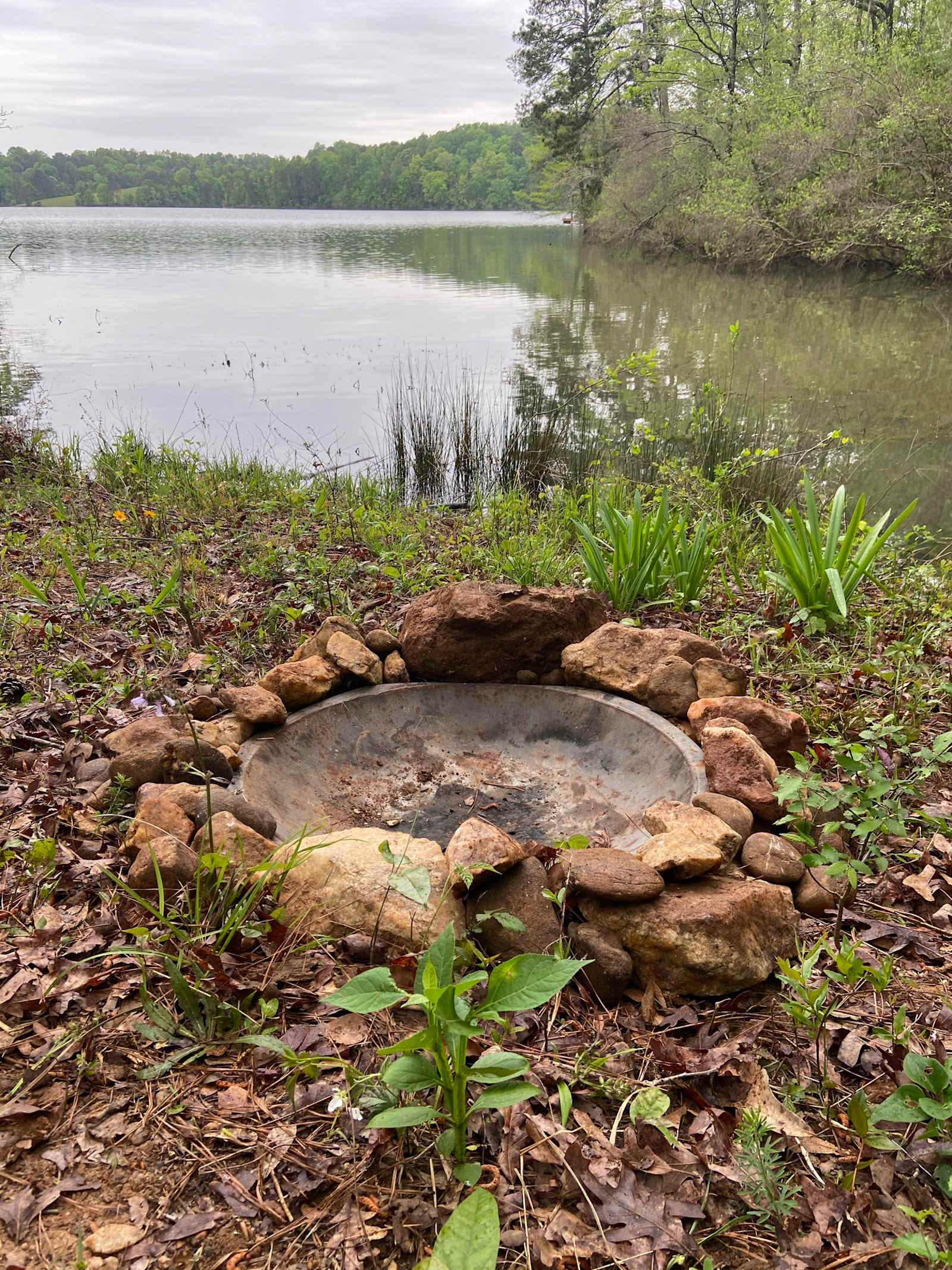 hideaway cove - Reeltown, Alabama - glamping.directory