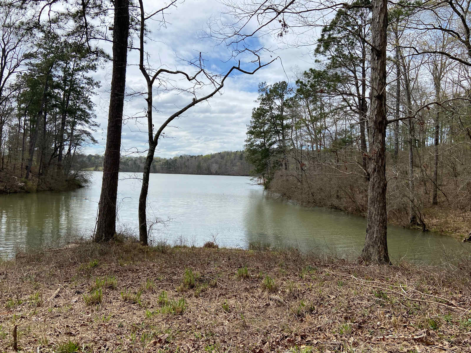 hideaway cove - Reeltown, Alabama - glamping.directory