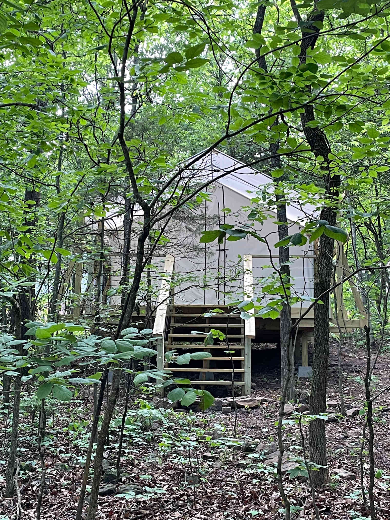 Buffalo River Glamping - Compton, Arkansas - glamping.directory