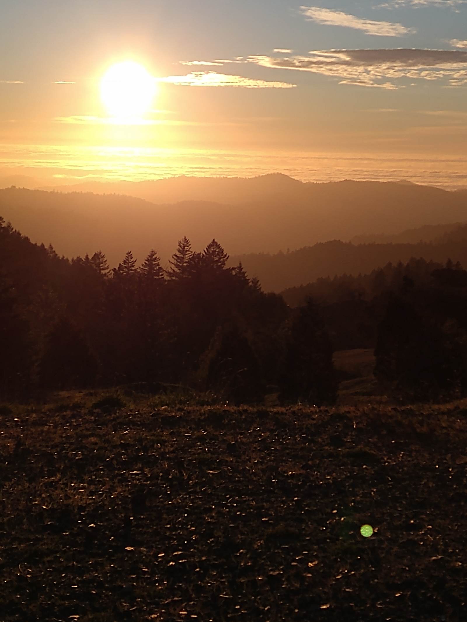 Red Wing Ranch - Willits, California - glamping.directory