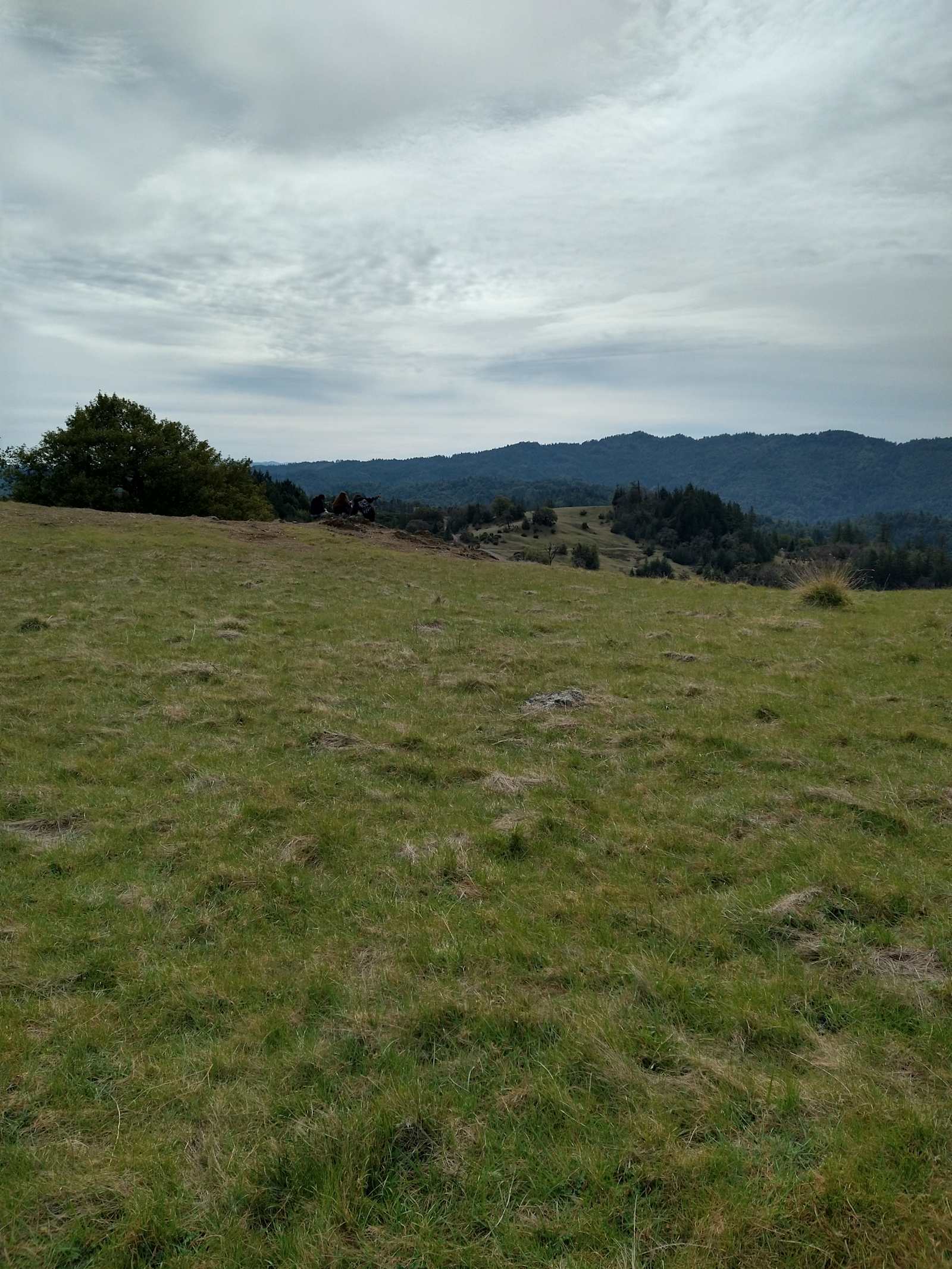 Red Wing Ranch - Willits, California - glamping.directory