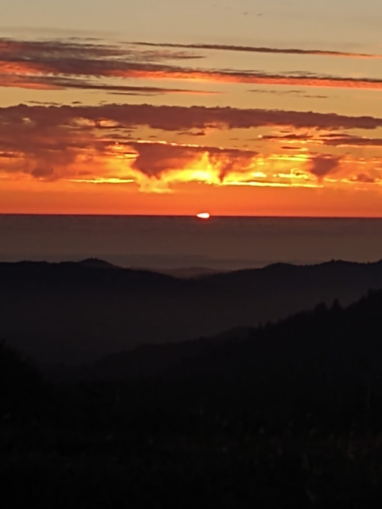 Red Wing Ranch - glamping.directory