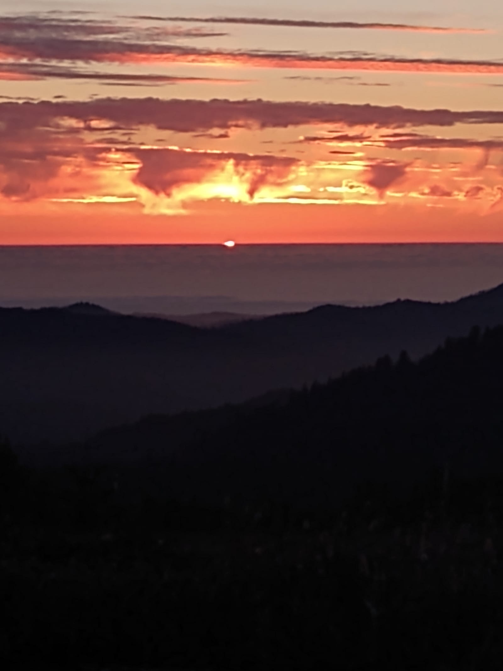 Red Wing Ranch - Willits, California - glamping.directory