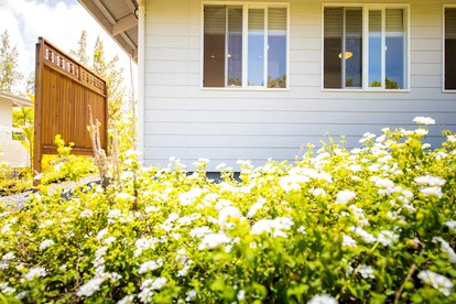 Tropical Cottage Rental near Kehena Beach in Pahoa, Hawaii - Pahoa, Hawaii - glamping.directory