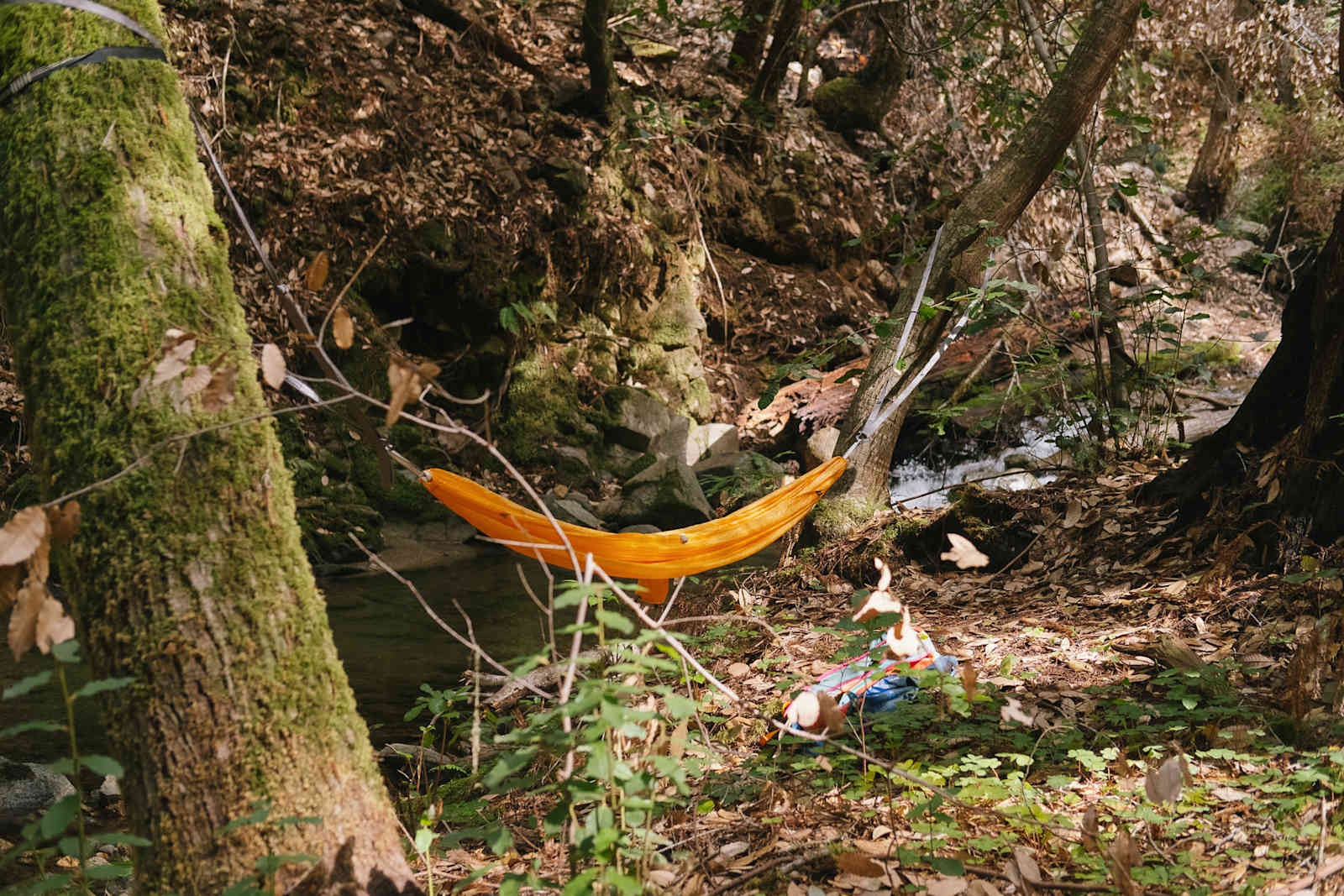 BANKS RANCH IN THE REDWOODS - Santa Cruz, California - glamping.directory
