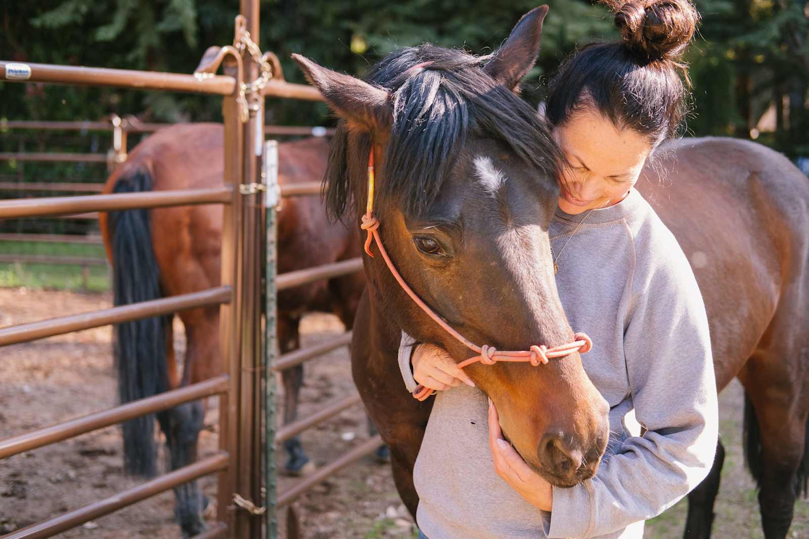 BANKS RANCH IN THE REDWOODS - Santa Cruz, California - glamping.directory