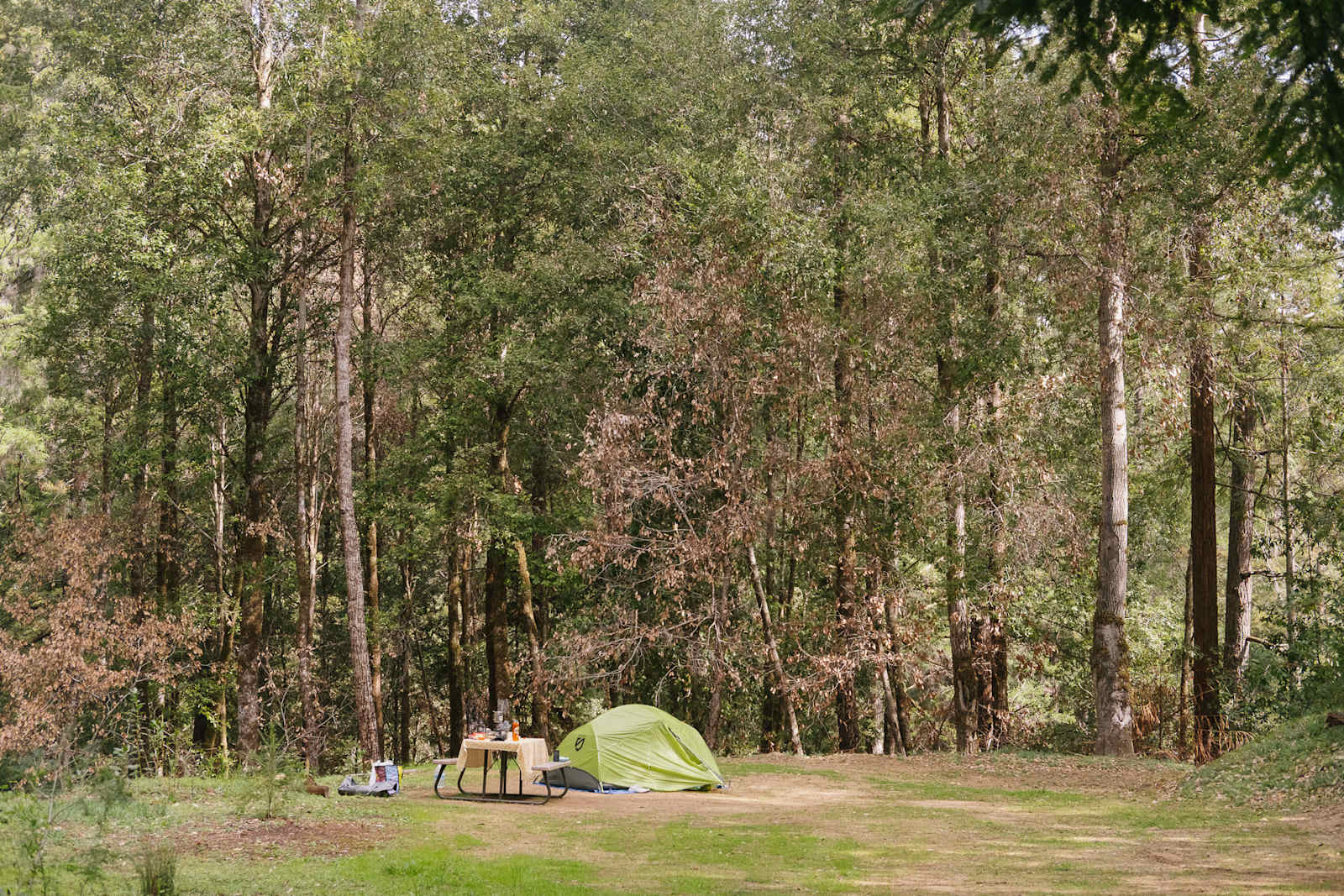 BANKS RANCH IN THE REDWOODS - glamping.directory