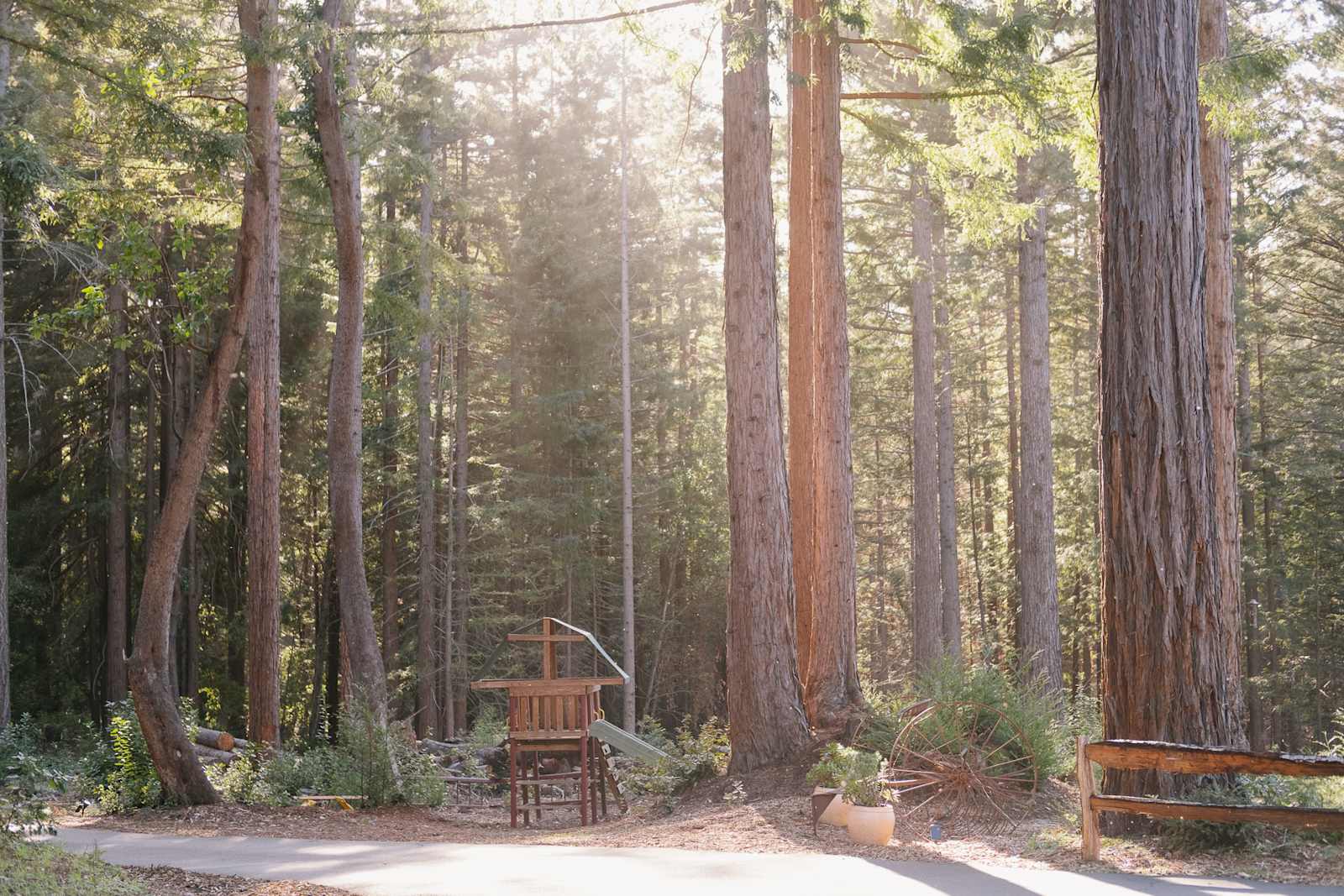 BANKS RANCH IN THE REDWOODS - Santa Cruz, California - glamping.directory