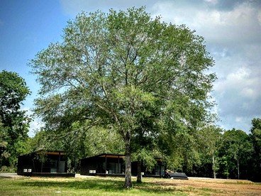 Elegant Tiny Home Resort with Heated Pool & Goats near Houston, Hempstead Texas - Hempstead, Texas - glamping.directory
