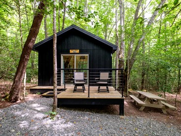 Pisgah Forest Retreat: Cozy Cabin Blending Comfort and Luxury for Glampers, NC - Transylvania County, North Carolina - glamping.directory