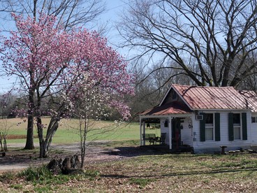 Cozy Cottage on a Working Farm near Fayetteville, Tennessee - Mulberry, Tennessee - glamping.directory