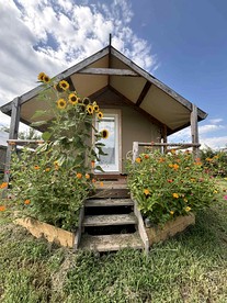 Cozy Canvas Glamping Cabins with Forest Views & Stargazing near Waterfalls in Old Fort, Tennessee - Old Fort, Tennessee - glamping.directory