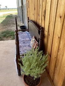 Glamping in Floresville at this Stunning Equine Ranch in South Texas - Floresville, Texas - glamping.directory