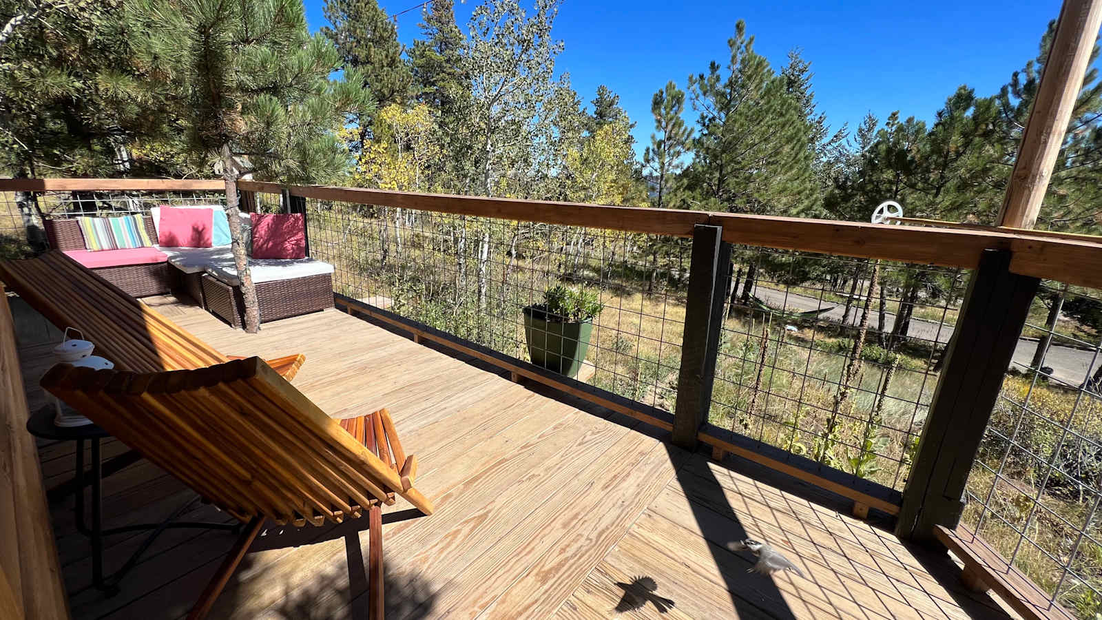 Cozy Tiny Mountain Log Cabin - Coal Creek, Colorado - glamping.directory