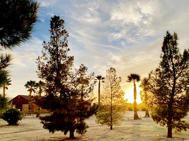The Castle House Estate Luxury Bell Tent, Joshua Tree, CA - Joshua Tree, California - glamping.directory