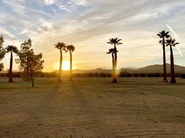 The Castle House Estate Luxury Bell Tent, Joshua Tree, CA - Joshua Tree, California - glamping.directory