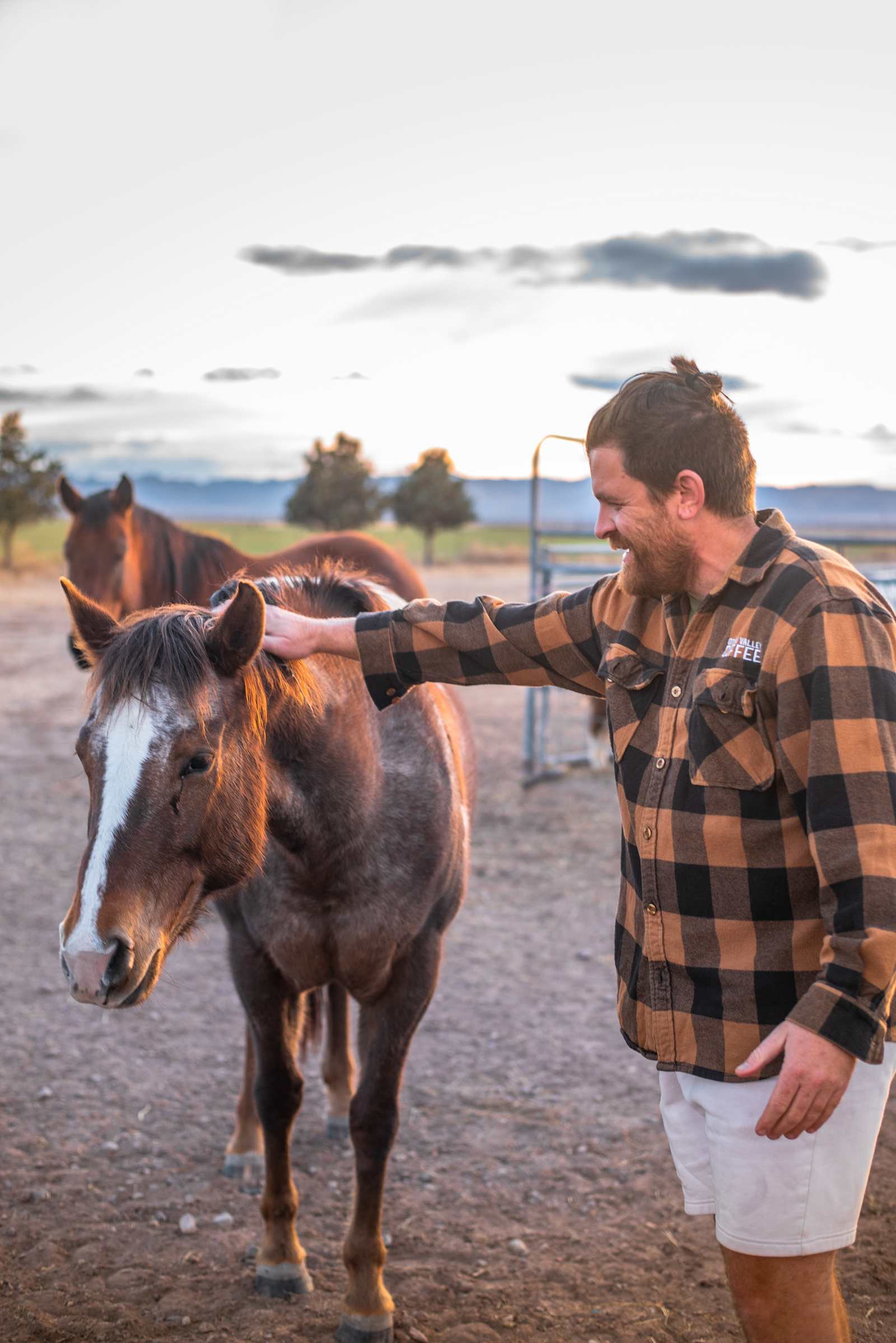 The Rocking T - Elfrida, Arizona - glamping.directory
