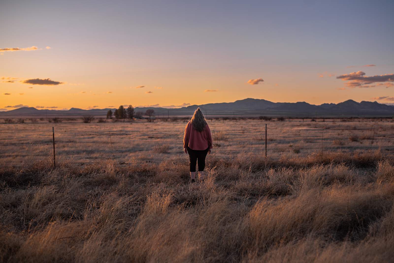 The Rocking T - Elfrida, Arizona - glamping.directory