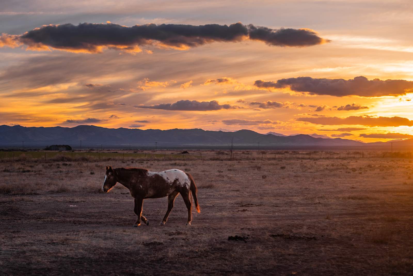 The Rocking T - Elfrida, Arizona - glamping.directory