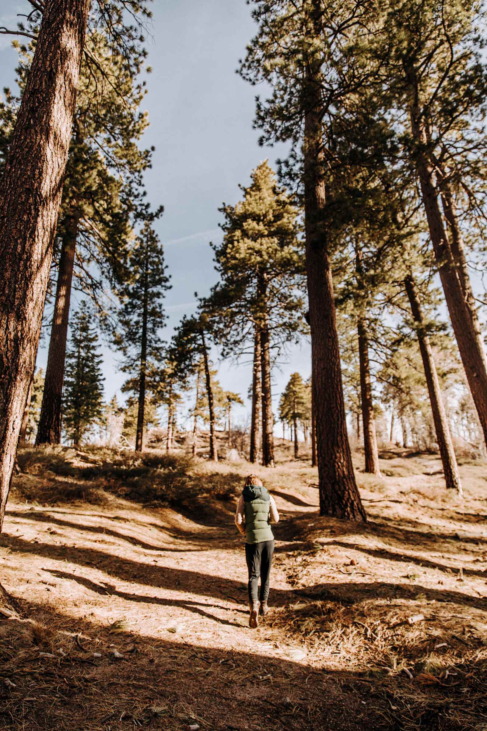 The Engels Nest Cozy Cabin - Green Valley Lake, California - glamping.directory