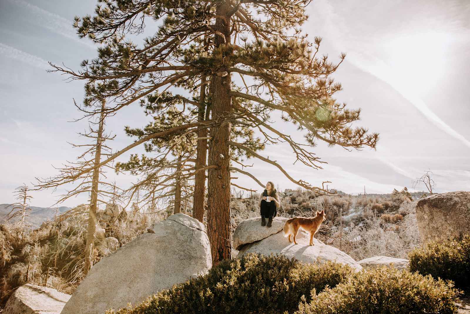 The Engels Nest Cozy Cabin - Green Valley Lake, California - glamping.directory