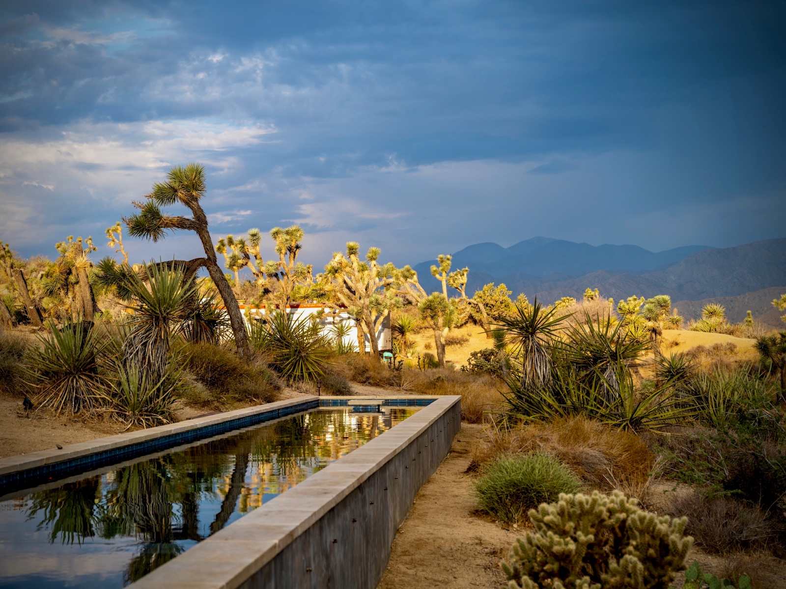 High Desert Protocol - Yucca Valley, California - glamping.directory
