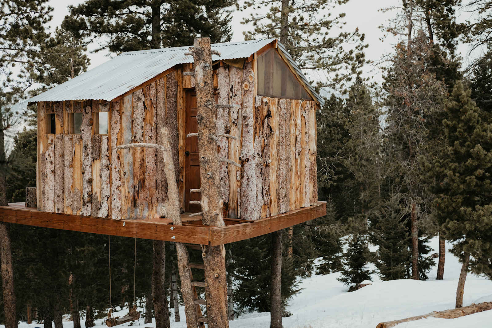 Gold Nugget Tree House - Gold Hill, Colorado - glamping.directory