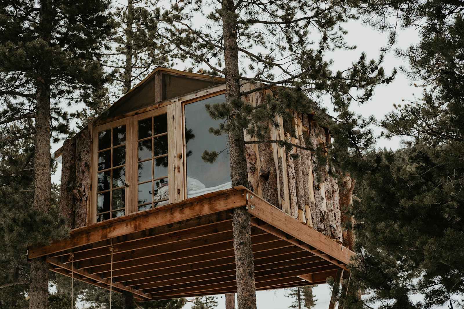 Gold Nugget Tree House - glamping.directory