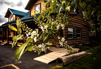 Suite Rental in Secluded Log Cabin Lodge on the Banks of Kootenai River, Northern Idaho - glamping.directory